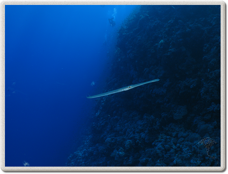 2011-09-13_12-03-36_bde