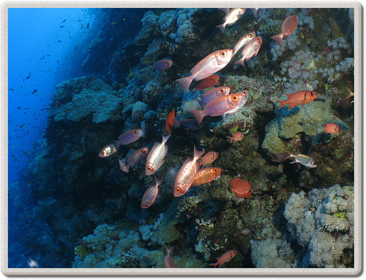 2011-09-13_12-16-05_bde