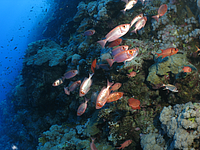 2011-09-13_12-16-05_bde