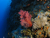 2011-09-13_12-18-47_bde