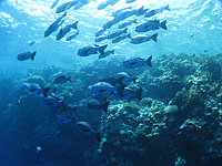 2011-09-13_12-34-47_bde