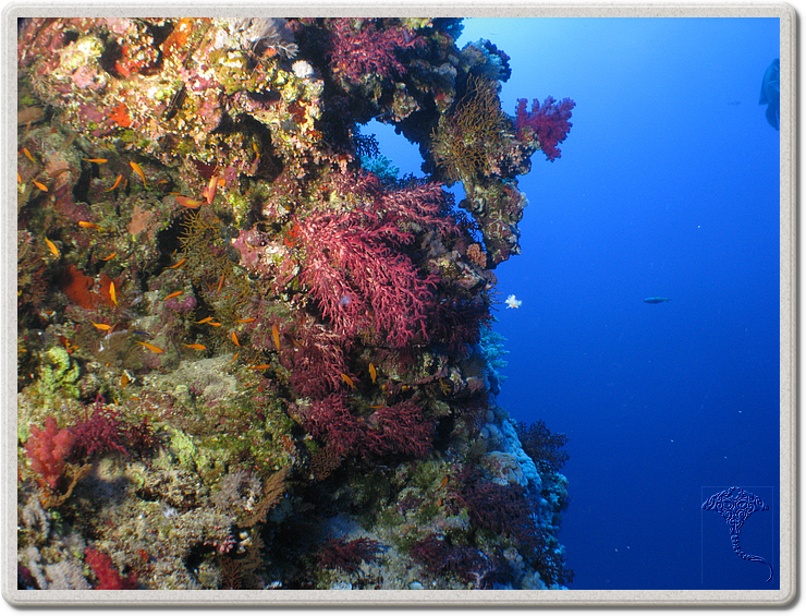 2011-09-14_11-56-10_bde