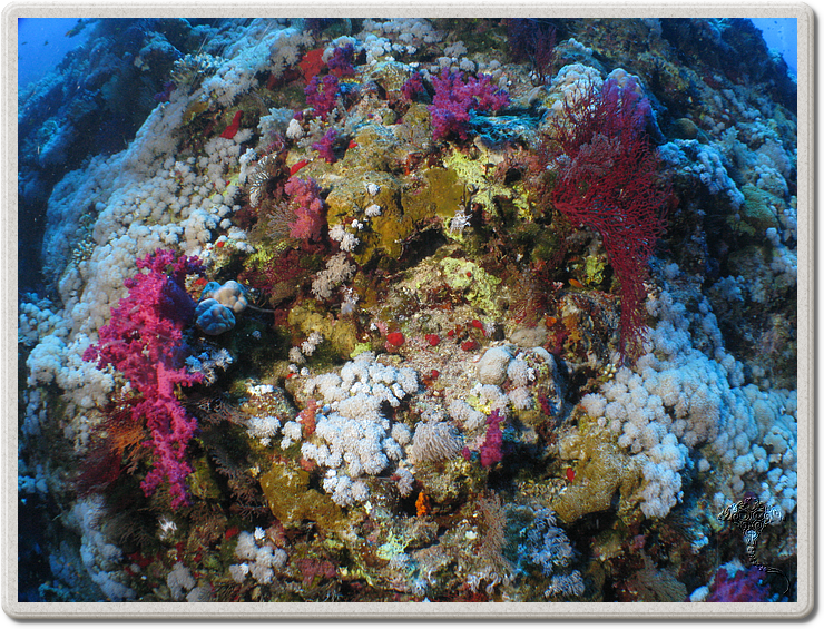 2011-09-14_12-00-22_bde