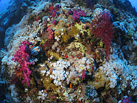 2011-09-14_12-00-22_bde