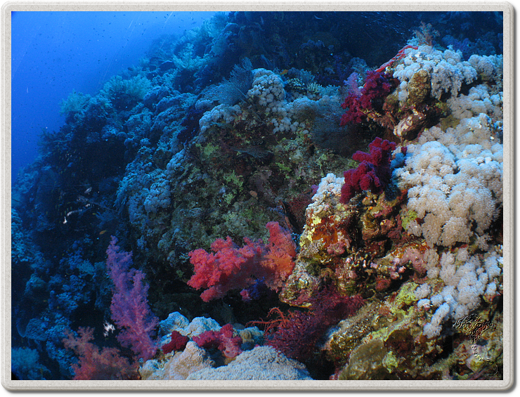 2011-09-14_12-02-42_bde