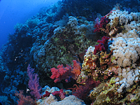 2011-09-14_12-02-42_bde