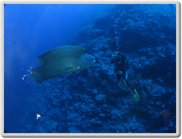 2011-09-14_12-11-36_bde