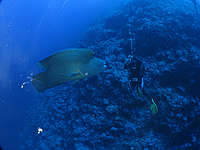 2011-09-14_12-11-36_bde