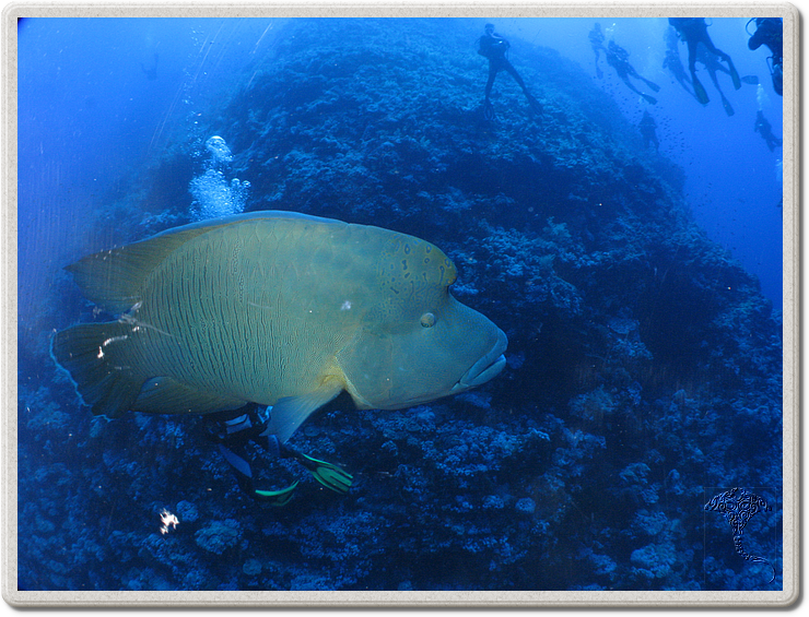 2011-09-14_12-11-41_bde