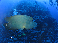 2011-09-14_12-11-41_bde