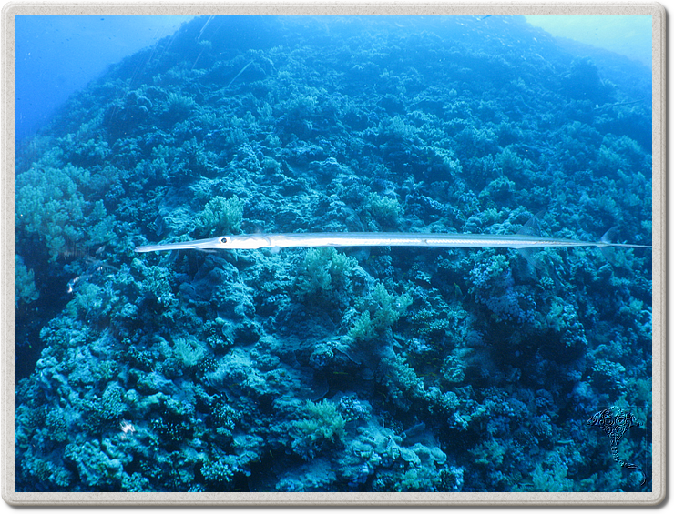 2011-09-14_12-15-47_bde