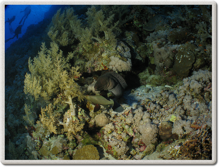 2011-09-14_16-14-44_bde