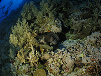 2011-09-14_16-14-44_bde