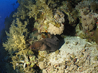 2011-09-14_16-15-00_bde