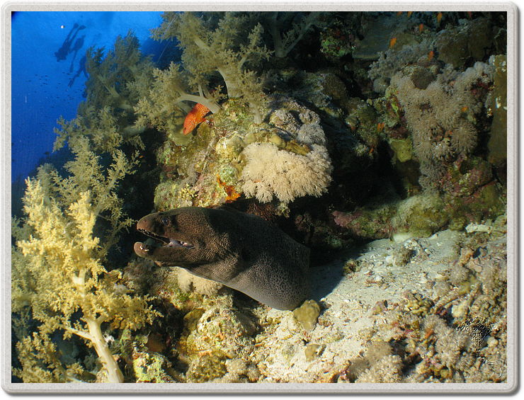 2011-09-14_16-15-09_bde