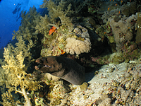 2011-09-14_16-15-09_bde