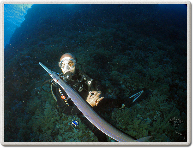 2011-09-14_16-31-18_bde