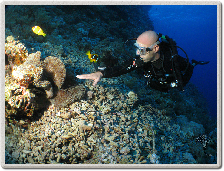 2011-09-14_16-36-08_bde