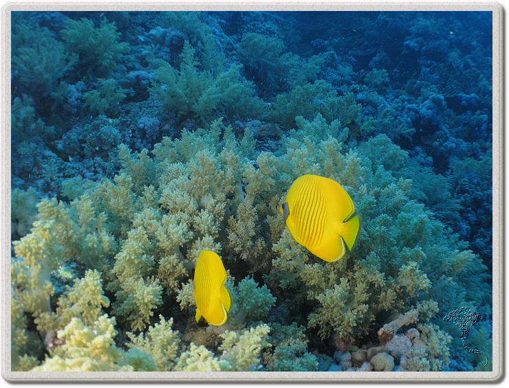 2011-09-14_16-47-11_bde