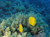 2011-09-14_16-47-11_bde