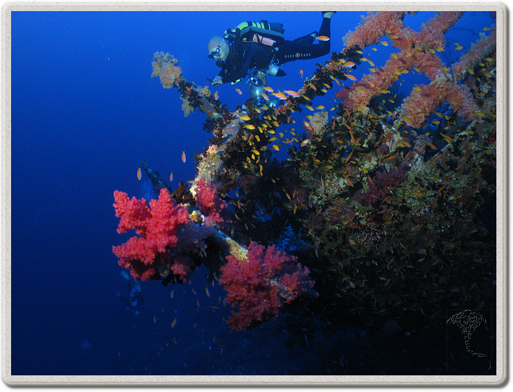 2011-09-15_07-37-29_bde