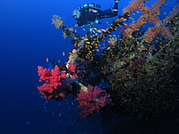 2011-09-15_07-37-29_bde