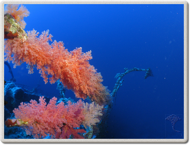 2011-09-15_07-45-16_bde