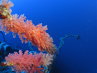 2011-09-15_07-45-16_bde