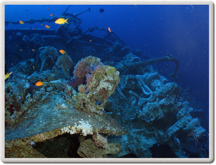 2011-09-15_07-45-55_bde