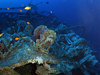 2011-09-15_07-45-55_bde