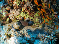 2011-09-15_11-10-44_bde