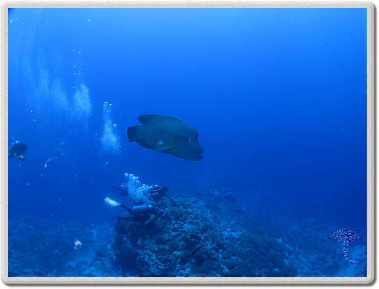 2011-09-15_11-13-20_bde