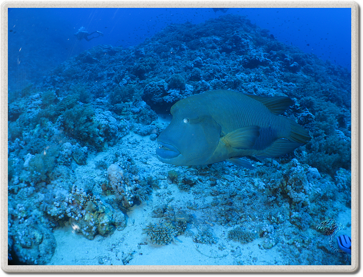 2011-09-15_11-23-51_bde