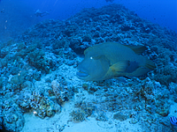 2011-09-15_11-23-51_bde