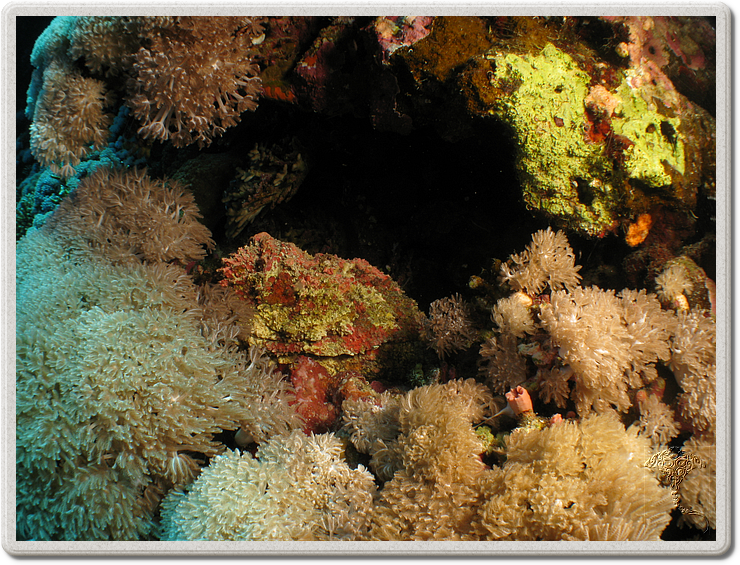 2011-09-15_11-34-07_bde