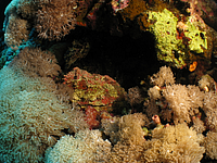 2011-09-15_11-34-07_bde