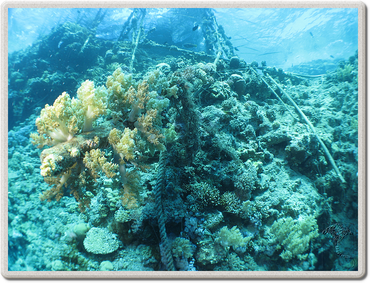 2011-09-15_11-46-07_bde