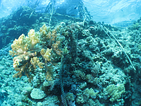 2011-09-15_11-46-07_bde