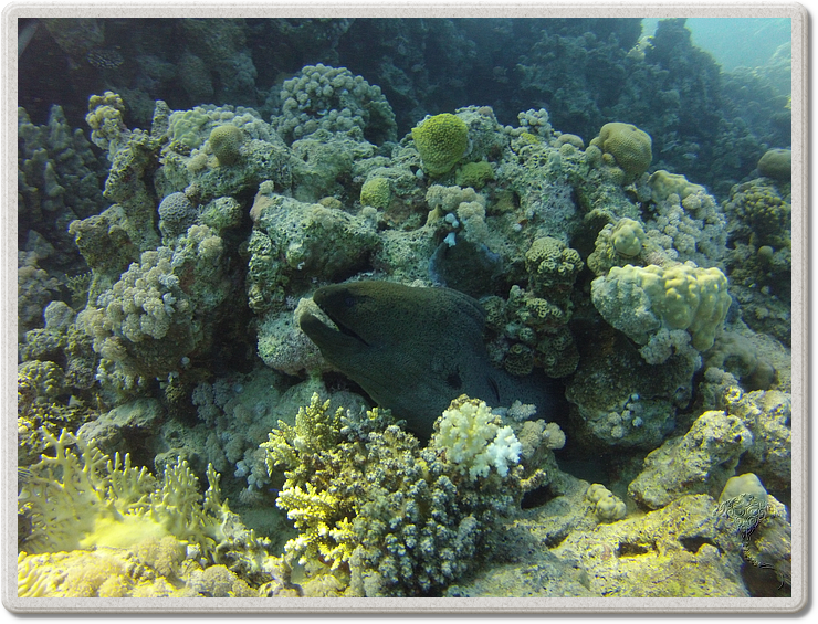 hurghada_2016-04-30_13-23-42
