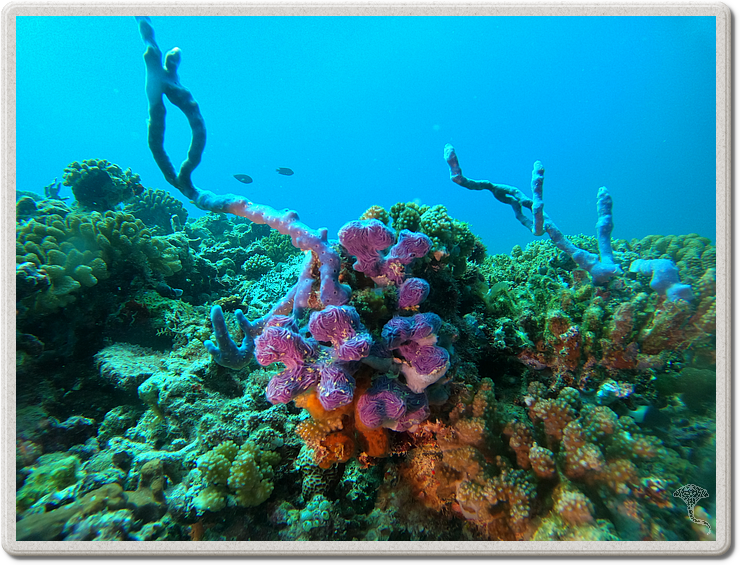 2020-12-07_11-53-24.png