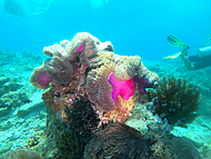 2020-12-08_08-32-54.png