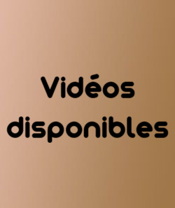 Les videos sont disponibles