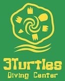3 Turtles - Safaga