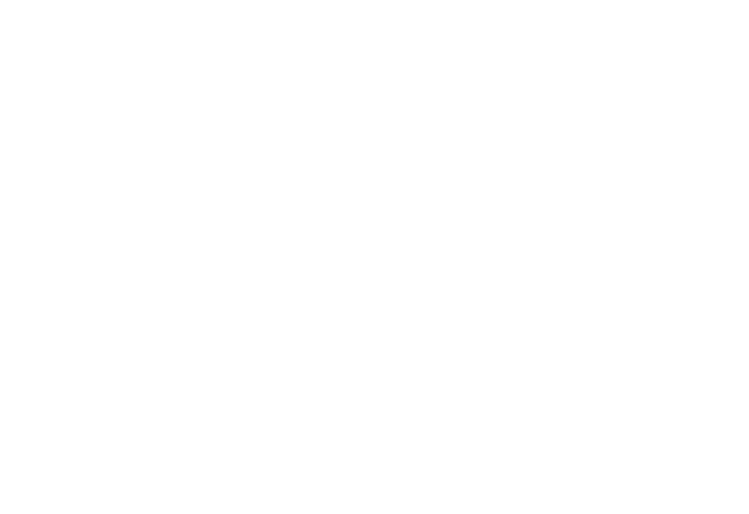 Logo Ikan Dive