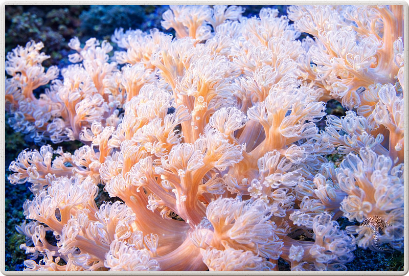 maurice_2009-03-18 10-39-02