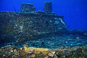 maurice_2009-03-19 14-10-27.png