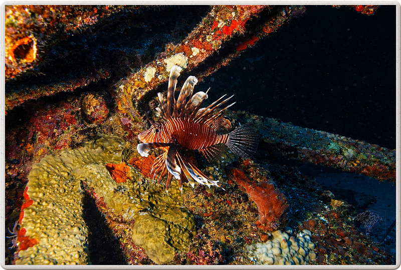 maurice_2009-03-19 14-36-10