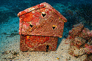 agay_2009-05-08_16-55-56.png