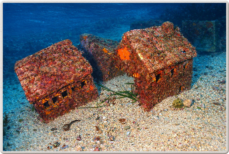 agay_2009-05-08_16-58-49