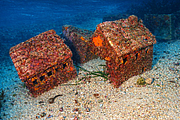 agay_2009-05-08_16-58-49.png
